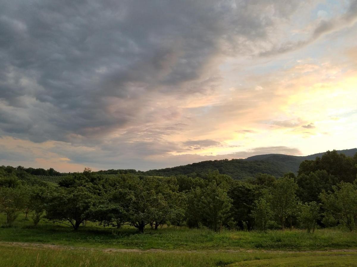 Blue Ridge Manor Bed And Breakfast Fancy Gap Eksteriør bilde
